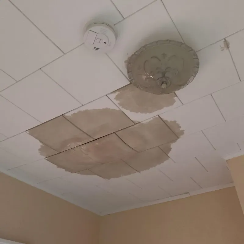 Ceiling Water Damage Repair in Grissom Air Force Base, IN