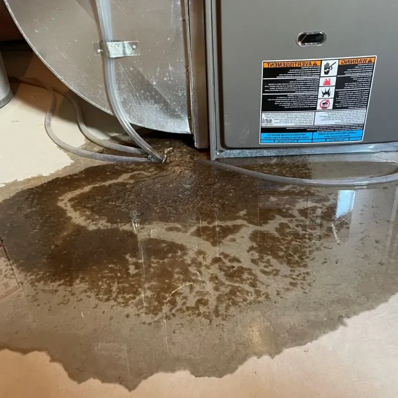 Pipe Burst and Leak Restoration in Grissom Air Force Base, IN