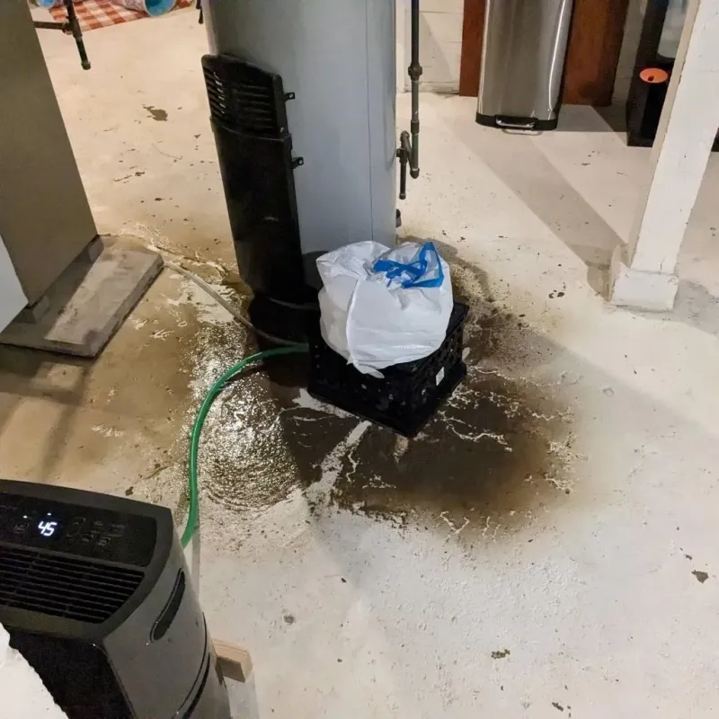Sewage Backup Cleanup Service in Grissom Air Force Base, IN